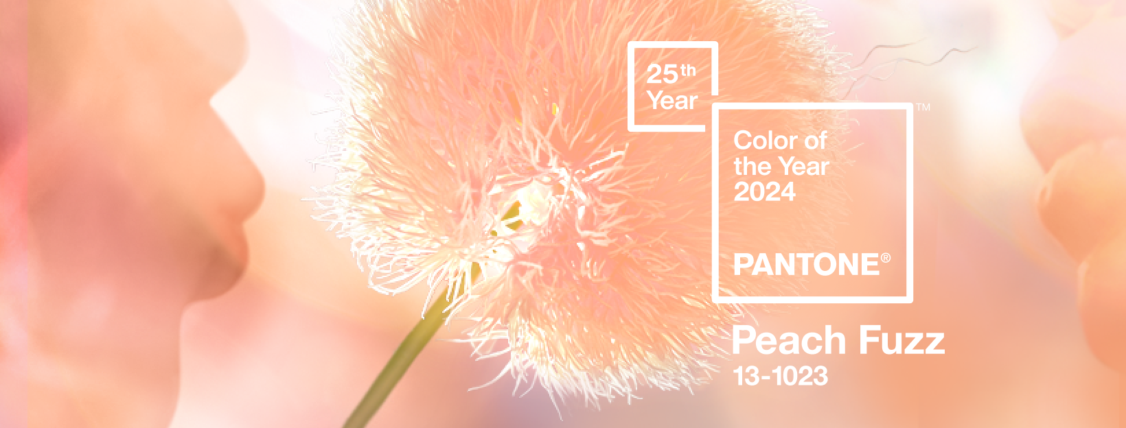 pantone-color-of-the-year-2024-peach-fuzz.png