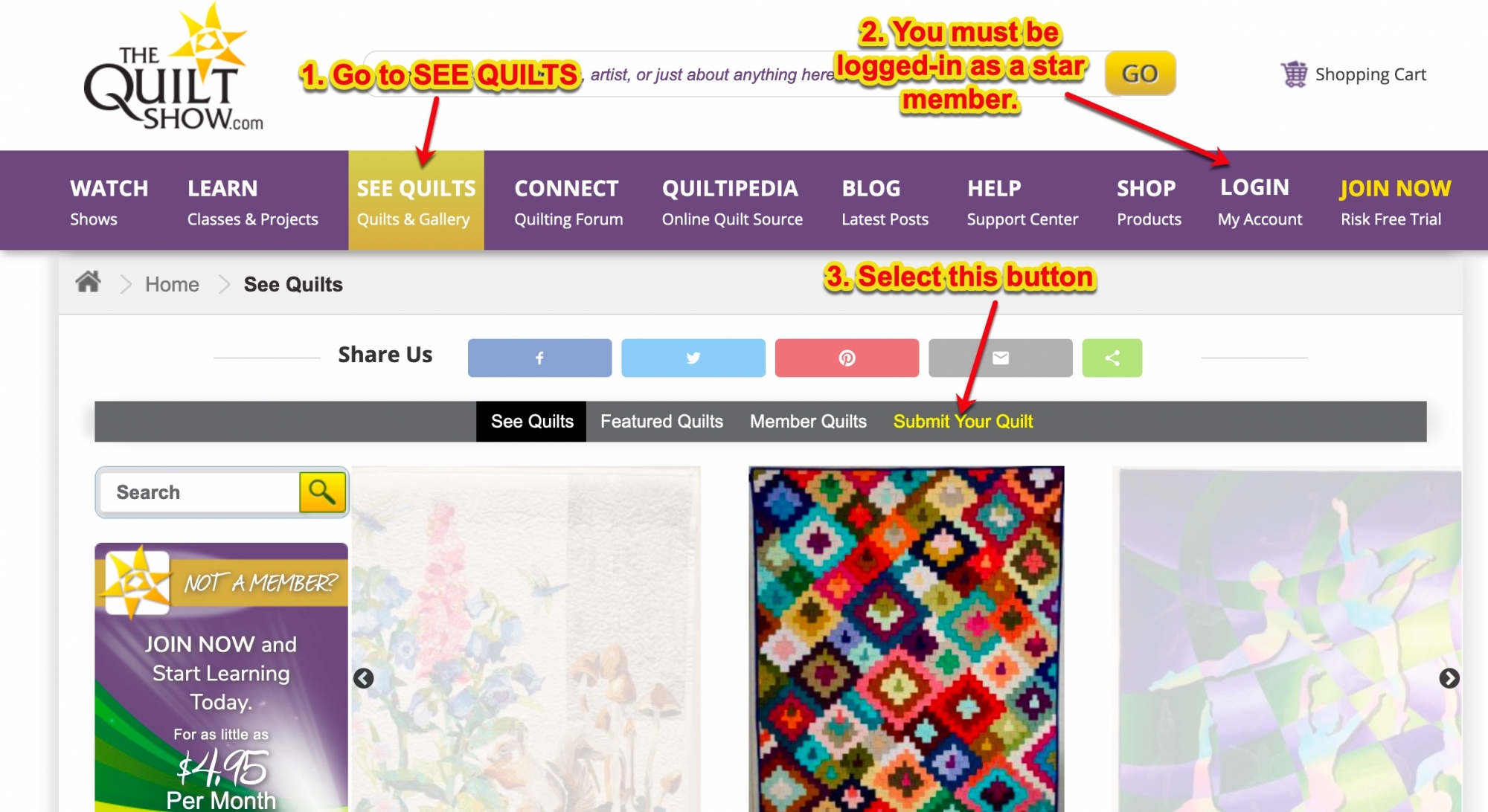 FAQs Upload Quilts 1.jpg