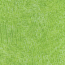 Dimples Olivine from Andover Fabrics