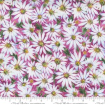 Fresh As A Daisy 8496 11 Magenta