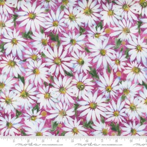 Fresh As A Daisy 8496 11 Magenta