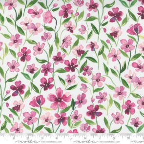 Fresh As A Daisy 8497 12 Cloud Petal 