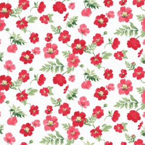 Berry Sweet Y4352-1 White