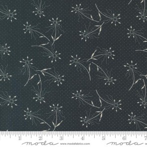 Blackbirds Nest 9750 19 Black