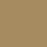 Century Solids CS-10 Cafeaulait by Andover Fabrics - By The Yard