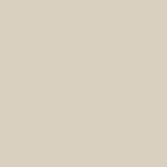Century Solids CS-10 Champagne by Andover Fabrics - By The Yard