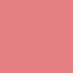 Century Solids CS-10 Dawn by Andover Fabrics - By The Yard