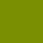 Century Solids CS-10 Guacamole by Andover Fabrics - By The Yard