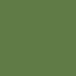 Century Solids CS-10 Leaf by Andover Fabrics - By The Yard