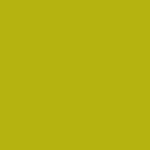 Century Solids CS-10 Margarita by Andover Fabrics - By The Yard