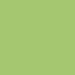 Century Solids CS-10 Pear by Andover Fabrics - By The Yard