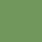 Century Solids CS-10 Pickle by Andover Fabrics - By The Yard