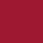 Century Solids CS-10 Redwood by Andover Fabrics - By The Yard