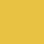Century Solids CS-10 Saffron by Andover Fabrics - By The Yard
