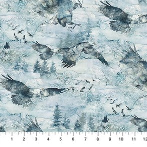 Soar DP24583-42 Moody Blues