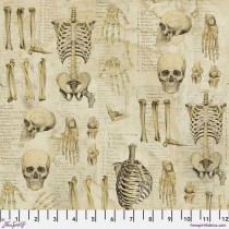 Laboratory by Tim Holtz Eclectic Elements PWTH181.NEUTRAL Anatomy