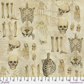 Laboratory by Tim Holtz Eclectic Elements PWTH181.NEUTRAL Anatomy