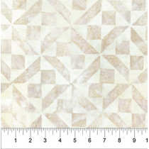 Quilt Inspired Backgrounds Exploding Star 0910-30 Oatmeal