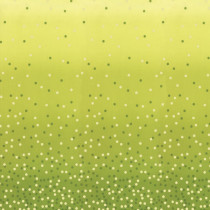 Ombre Confetti Lime Green Quilt Back By The Yard