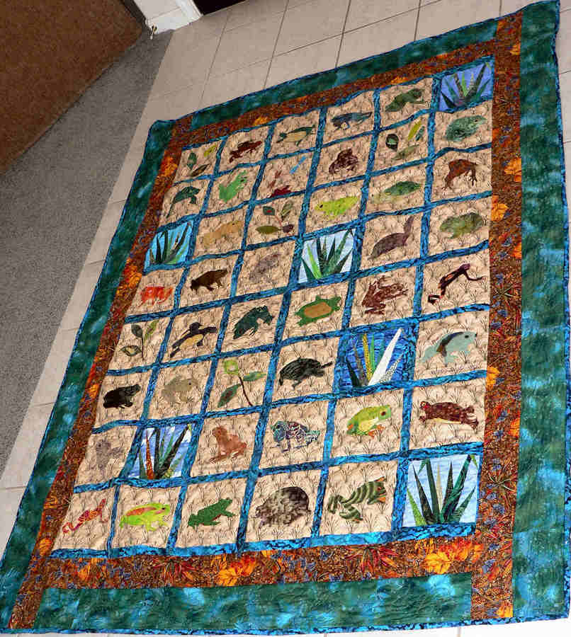 Frogs and Toads and Turtles, Oh My! Frogs and Toads and Turtles, Oh My!