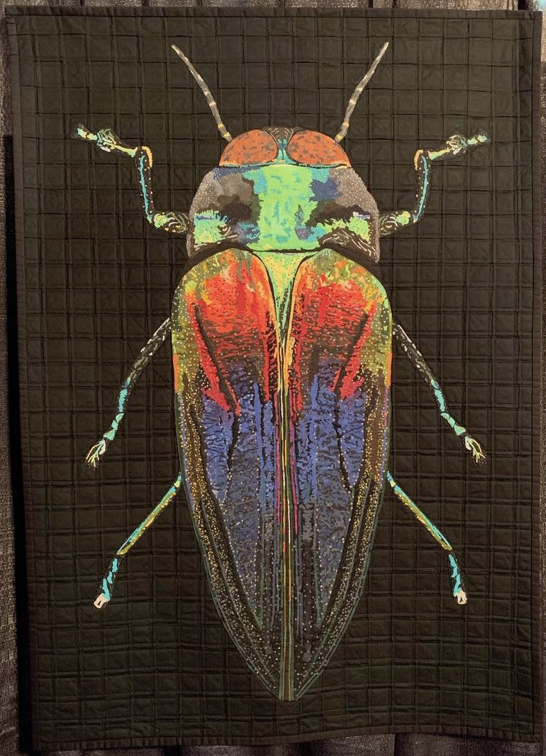 Jewel Beetle by Esther Tronchoni Simo