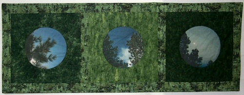 Evergreen sky Evergreen sky
