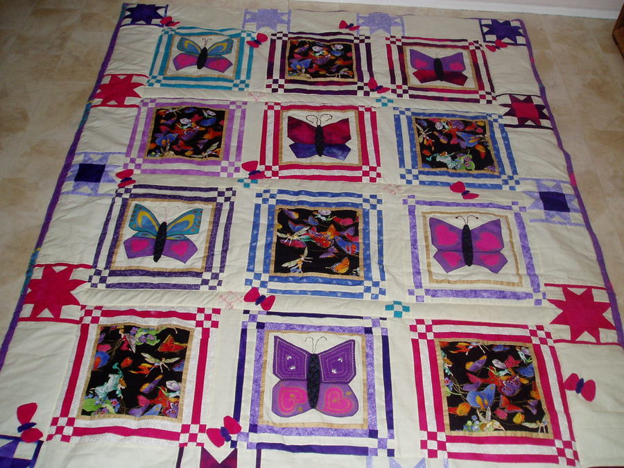 Butterflies Everywhere Butterflies Everywhere