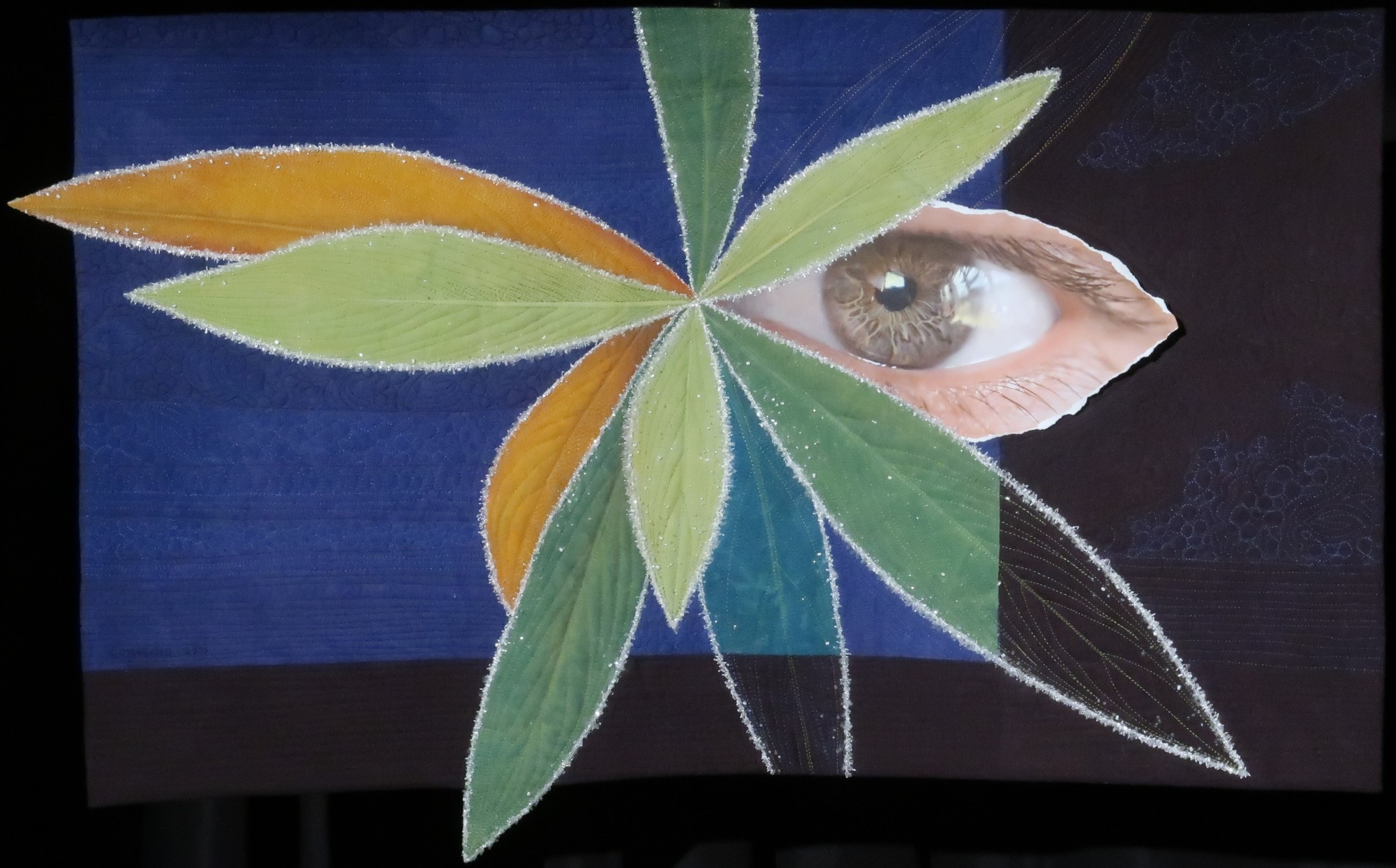 Good Eye by Karla Overland