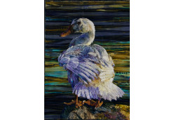 In the Morning Light by Roxanne Nelson