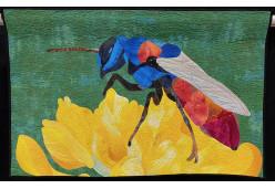 Davids Wasp by Rebecca Ann Haley