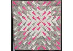 Phlamingo, Some Assembly Required by Sarah Ann Smith