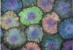 Dark Lichen by Betty Busby