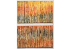 Fireworks by Carol Ann Waugh