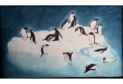 Penguin Playground by Sue Sherman