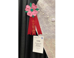 Paramecium Aurelia (Amoeba) by Jackie Perry - Second Place Ribbon and Sign (Photo by Ricky Tims from AQS QuiltWeek Paducah 2023)