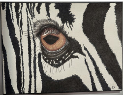 Zebra by Rhonda Denney