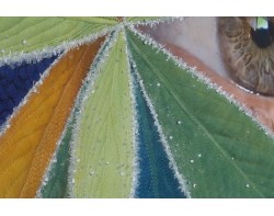 Good Eye by Karla Overland - Detail 5