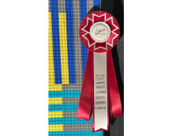 Renew Anew by Elizabeth Ray - Second Place Abstract Ribbon at Road to California 2023