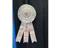 Peacock by Naomi Ootomo - Third Place Handmade Ribbon at Houston International Quilt Festival 2025