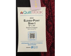 Eleven-Point Star I by Beatrice Hughes, Quilted by Nancy Bieber - Sign