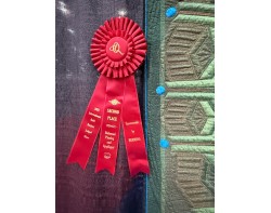 Floriferous by Luz Seidensticker - Second Place Balanced Piecing and Applique Ribbon at Houston International Quilt Festival 2025