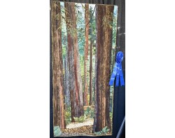 Glimpse Into the Forest by Pat Durbin - On Display at Houston International Quilt Festival 2025