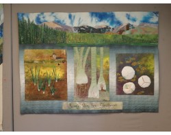 Ready, Set, Go: Quillwort