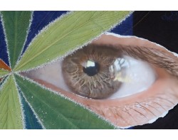 Good Eye by Karla Overland - Detail 1 Close-Up