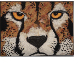 Cheetah by Rhonda Denney