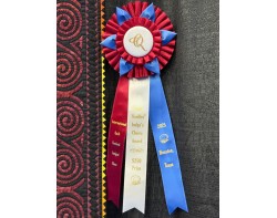 The Turning of the Wheel by Pamela Trantham - Andrea Brokenshire Judges Choice Award at Houston 2025