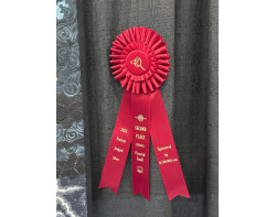The Last Call by Kestrel Michaud - Second Place Pictorial-Small Ribbon [Houston 2023]