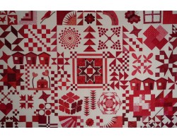Ruby Jubilee by Ninigret Quilters, Assembled by Tina Craig, Quilted by Pat Harrison - Detail 1