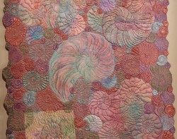 Ammonite Garden II by Kim Lacy