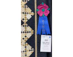 I Aint Afraid To Appliqué by Donna Daniel - First Place Large Quilts: 1st Entry in an AQS Paducah Quilt Contest Ribbon and Sign